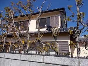 高知市布師田　M様邸　屋根塗装