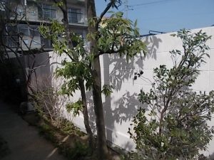 高知市寿町　T病院様　塀　塗装