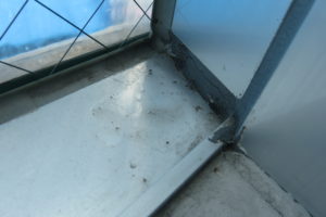 高知市神田　N様社屋　雨漏り　散水調査　浸入水確認