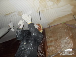 高知市上町 Z様 サウナ室 天井塗装