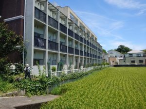 ７月２１日の作業状況