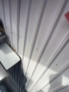 高知市長浜　Ｔ様邸
外壁塗装