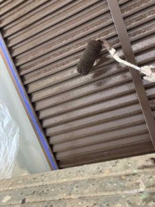 南国市前浜　Ｈ様邸
付帯部塗装