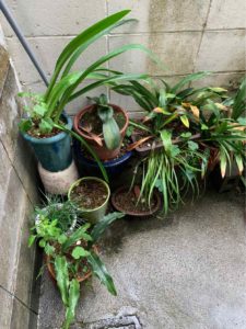 高知市百石町　O様邸
塀　高圧水洗浄