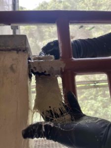 10月11日の作業状況