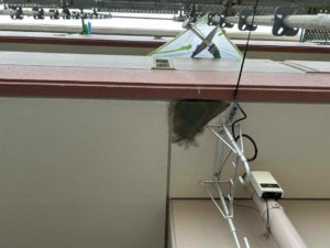 土佐市蓮池　Nマンション様　外壁塗装